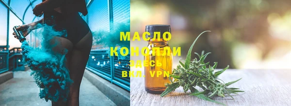 шишки Новодвинск