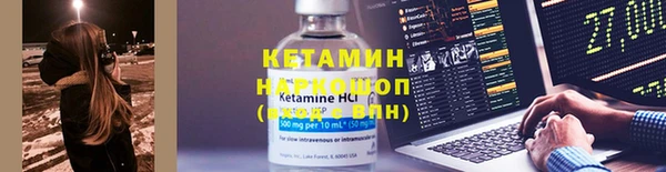 шишки Новодвинск