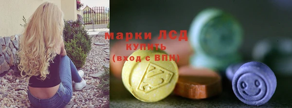 шишки Новодвинск