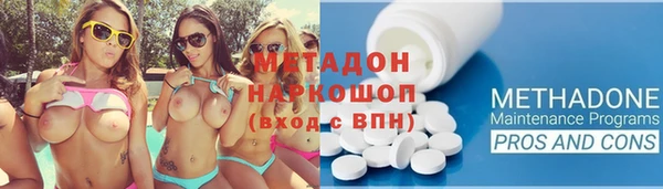 шишки Новодвинск