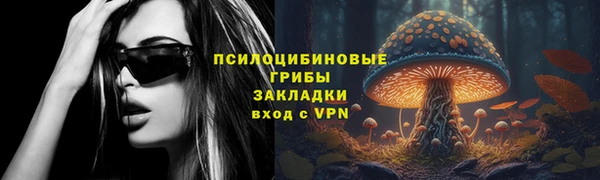гидра Новокубанск