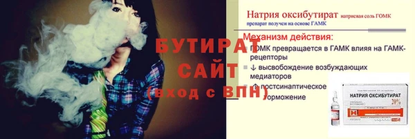 шишки Новодвинск