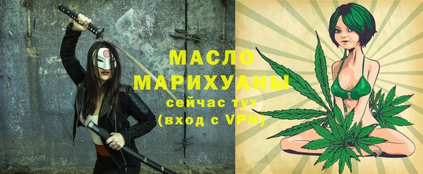 шишки Новодвинск