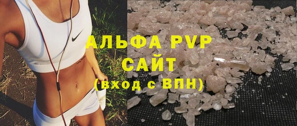 шишки Новодвинск