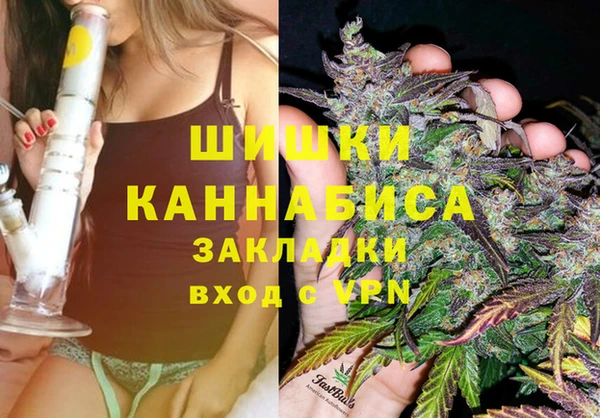шишки Новодвинск
