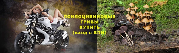 шишки Новодвинск