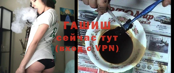 шишки Новодвинск