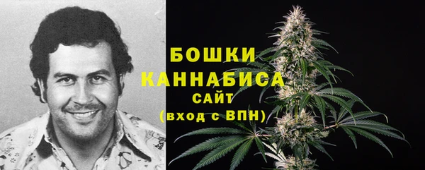 гидра Новокубанск