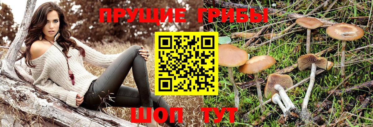 Галлюциногенные грибы мицелий  Вход с VPN  Красноуфимск 